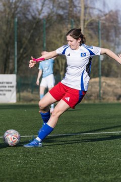 Bild 222 - F Hamburger SV 3 - Blau-Weiss 96 : Ergebnis: 5:1